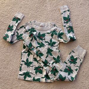Hanna Andersson Dragon Print Pajama Set - Green and Gray